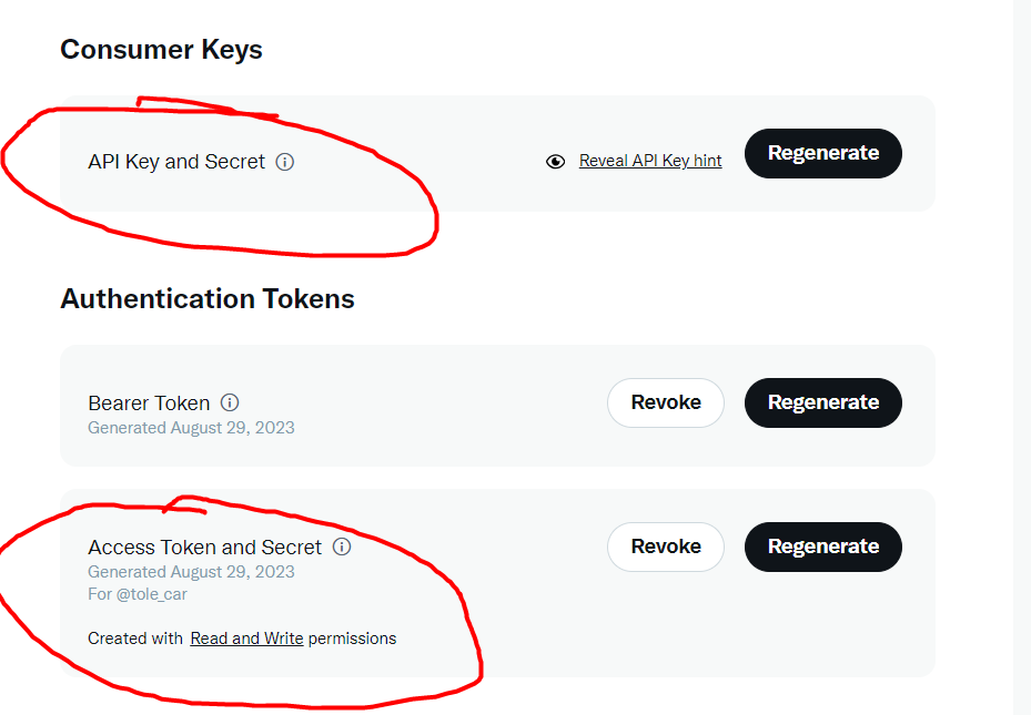 Twitter Authentication Tokens and Consumer Keys